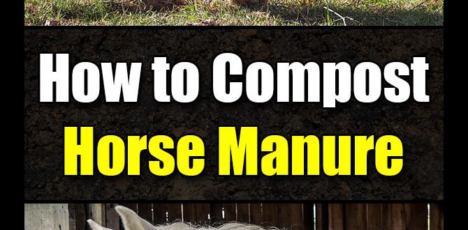 How to properly compost horse manure is horse manure good for gardening How to properly compost horse manure is horse manure good for gardening