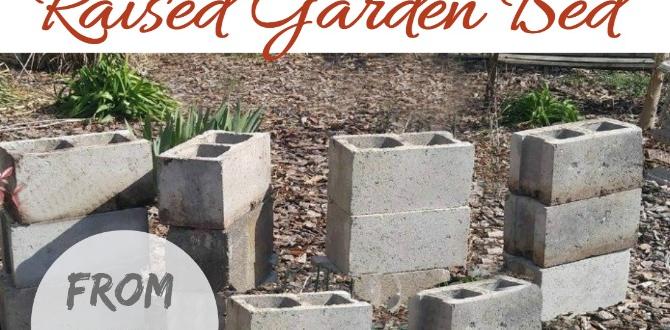 How to properly install cement blocks in your garden cement blocks for gardening