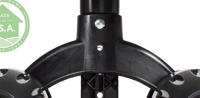 How to properly maintain your wheeled seat wheeled seat for gardening How to properly maintain your wheeled seat wheeled seat for gardening