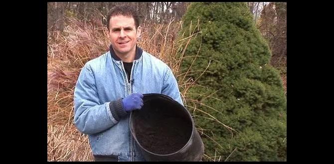 How to properly use composted manure in your garden is composted manure good for vegetable gardens How to properly use composted manure in your garden is composted manure good for vegetable gardens