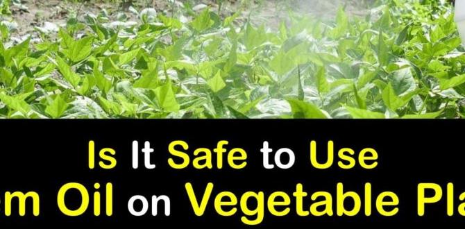 How to properly use neem oil is neem oil safe for vegetable gardens How to properly use neem oil is neem oil safe for vegetable gardens