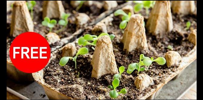 How to request and collect free seeds free seeds for gardening How to request and collect free seeds free seeds for gardening