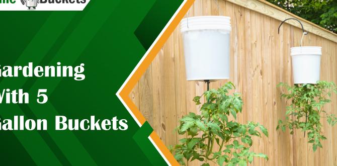 How to use 5 gallon buckets for container gardening 5 gallon buckets for gardening How to use 5 gallon buckets for container gardening 5 gallon buckets for gardening