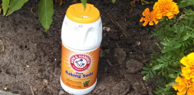 How to use baking soda for plant health baking soda for gardening How to use baking soda for plant health baking soda for gardening