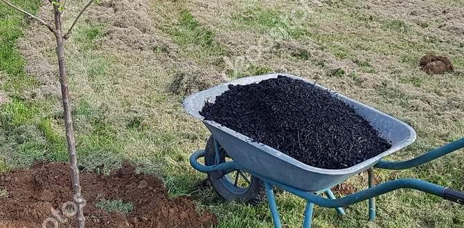 How to use biochar in your garden biochar for gardening