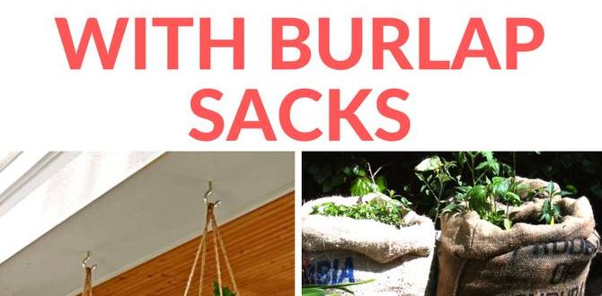 How to use burlap sacks for plants burlap sacks for gardening