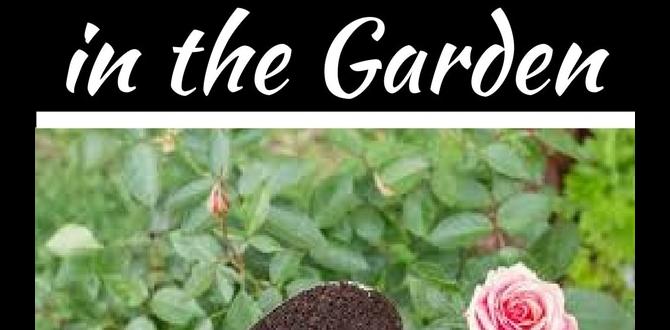 How to use coffee grounds in gardening are coffee grounds good for vegetable gardens