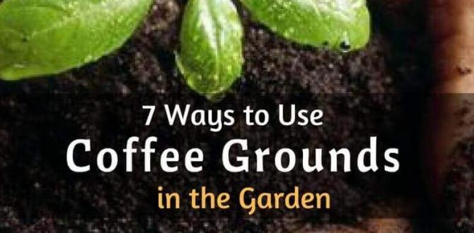 How to use coffee grounds in your garden coffee grounds for gardens