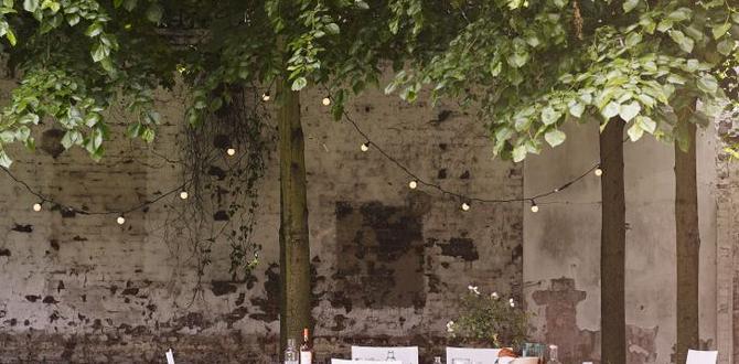 How to use de in your garden de for gardens How to use de in your garden de for gardens