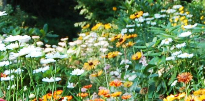 How to use gardening quotes in your own practice gardening quotes for spring How to use gardening quotes in your own practice gardening quotes for spring