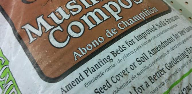 How to use mushroom compost in your garden mushroom compost for gardening