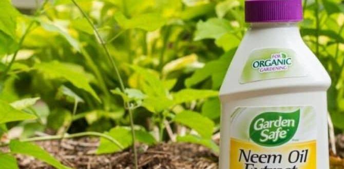 How to use neem oil in your garden neem oil for gardening