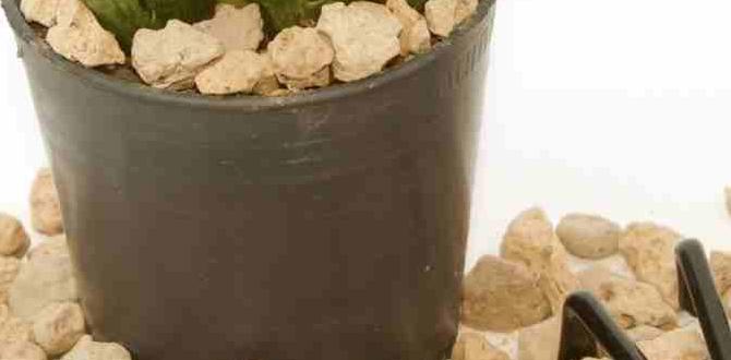How to use perlite in your garden perlite for gardening How to use perlite in your garden perlite for gardening
