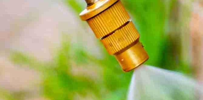 How to use vinegar as a weed killer vinegar for gardens How to use vinegar as a weed killer vinegar for gardens