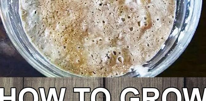 How to use yeast in your garden yeast for gardening How to use yeast in your garden yeast for gardening