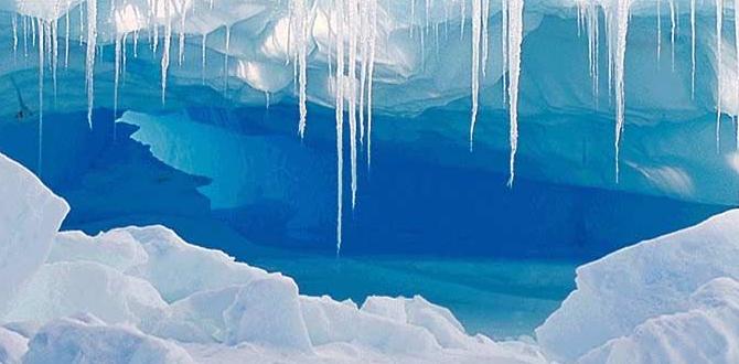 Ice skating and snow experiences moody gardens for christmas Ice skating and snow experiences moody gardens for christmas