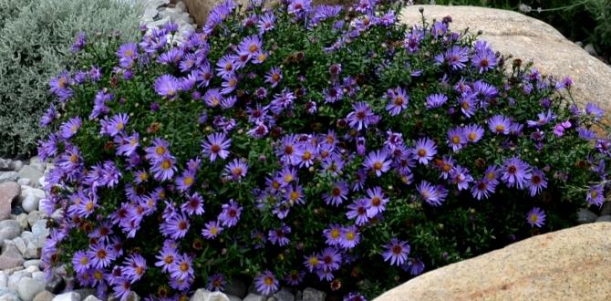 Imitation rocks vs natural rocks imitation rocks for gardens Imitation rocks vs natural rocks imitation rocks for gardens