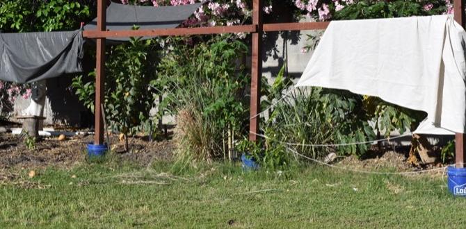 Impact of microclimates in chicago what zone is chicago for gardening