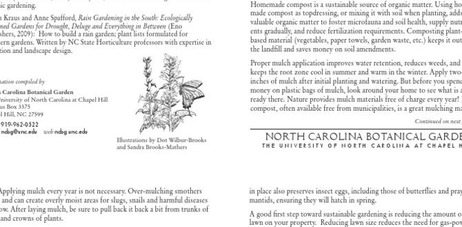 Implementing sustainable practices in abundant gardening gardening for abundance
