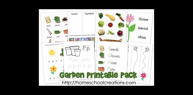 Importance of gardening for preschoolers gardening worksheets for preschoolers Importance of gardening for preschoolers gardening worksheets for preschoolers