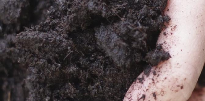 Importance of soil in gardening types of soil for gardening Importance of soil in gardening types of soil for gardening