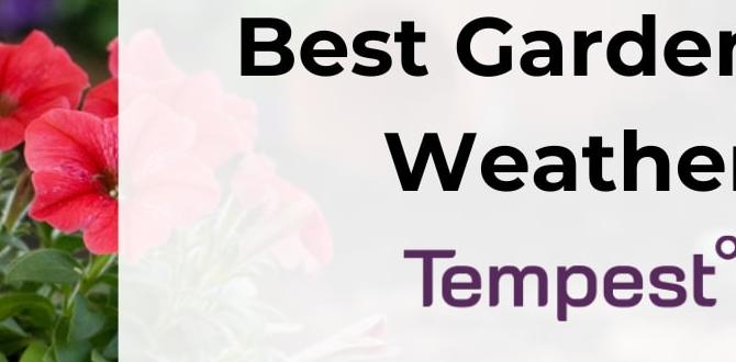 Importance of weather in gardening weather for gardeners