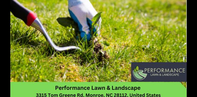 Importance of weed control in gardens weed control for gardens Importance of weed control in gardens weed control for gardens