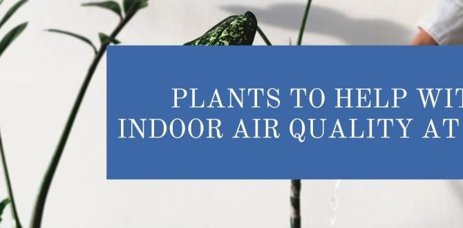 Improving air quality benefits of gardening for the environment Improving air quality benefits of gardening for the environment