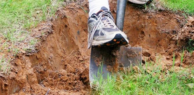 Improving drainage in clay soil how do you improve clay soil for gardening Improving drainage in clay soil how do you improve clay soil for gardening