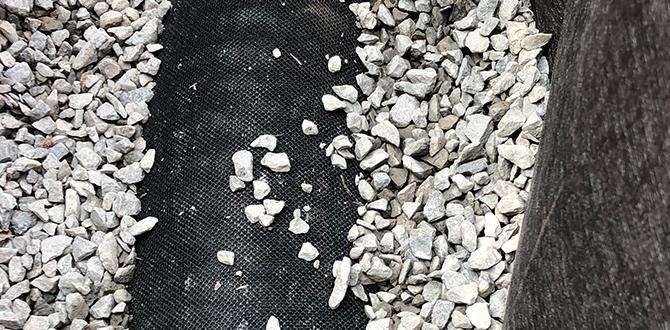 Improving drainage in clay soil how to fix clay soil for gardening Improving drainage in clay soil how to fix clay soil for gardening