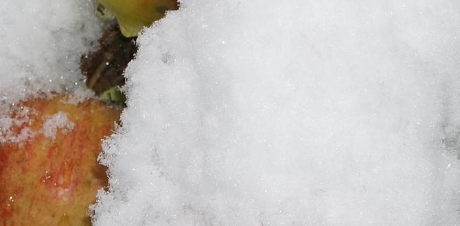 Improving microclimates in your ohio garden what zone is ohio for gardening