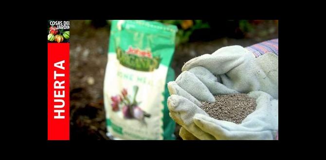 Incorporating bone meal into soil bone meal for vegetable gardening Incorporating bone meal into soil bone meal for vegetable gardening