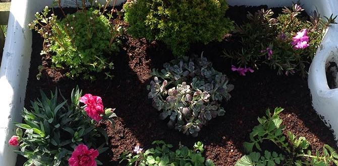 Incorporating container gardens ideas for small gardens Incorporating container gardens ideas for small gardens