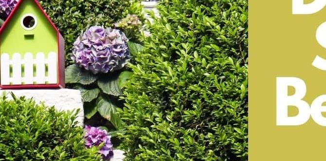 Incorporating decorative stones with plants decorative stones for gardens ideas Incorporating decorative stones with plants decorative stones for gardens ideas