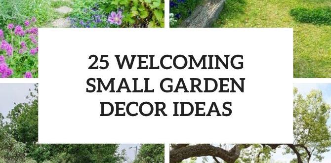 Incorporating garden decor and accessories ideas for small gardens pictures Incorporating garden decor and accessories ideas for small gardens pictures