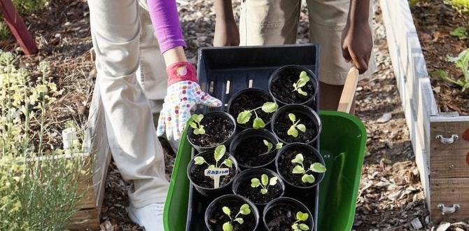Incorporating gardening into different learning areas gardening for kids Incorporating gardening into different learning areas gardening for kids