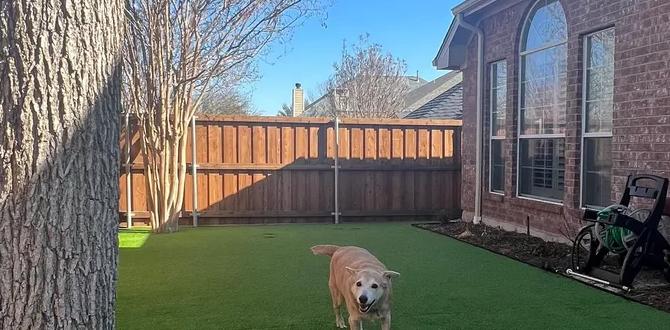 Incorporating hardscape features gardens for backyards Incorporating hardscape features gardens for backyards