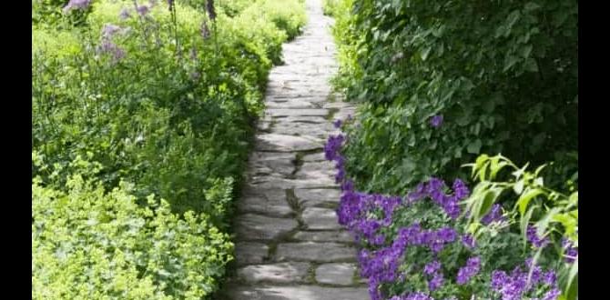 Incorporating hardscapes with flower borders borders for flower gardens Incorporating hardscapes with flower borders borders for flower gardens
