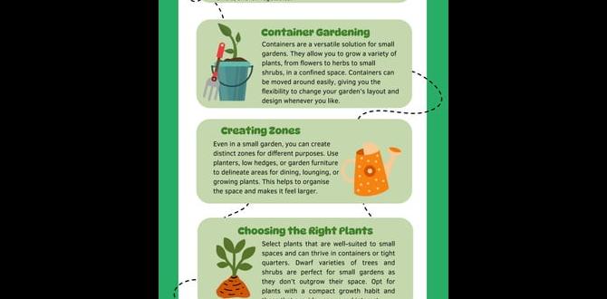 Incorporating hardscaping elements ideas for small flower gardens Incorporating hardscaping elements ideas for small flower gardens