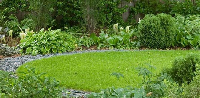 Incorporating hardscaping in shade gardens ideas for shade gardens