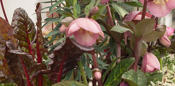 Incorporating herbs and edibles with vegetables vegetables for gardens ideas