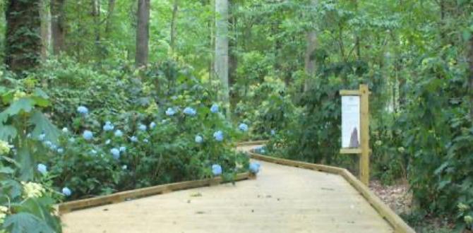 Incorporating landscaping with wooden bridges wooden bridges for gardens Incorporating landscaping with wooden bridges wooden bridges for gardens