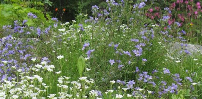 Incorporating native plants ideas for small front gardens on a budget