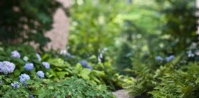 Incorporating pathways and borders garden ideas for narrow gardens