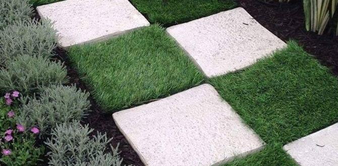 Incorporating pathways and edging gardening ideas for small front yard