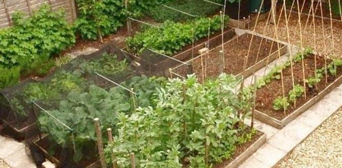 Incorporating raised garden beds garden layouts for small gardens Incorporating raised garden beds garden layouts for small gardens