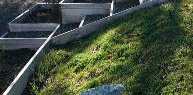 Incorporating retaining walls garden ideas for sloping gardens Incorporating retaining walls garden ideas for sloping gardens