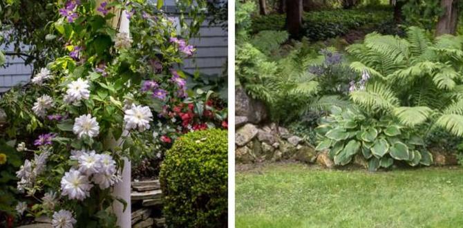 Incorporating shade into garden layout shade for gardens Incorporating shade into garden layout shade for gardens