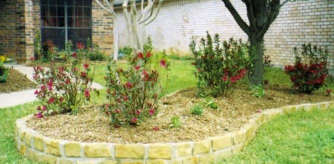 Incorporating stones in flower beds ideas for gardens with stones Incorporating stones in flower beds ideas for gardens with stones