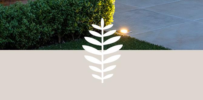 Incorporating water features gardening ideas for small gardens